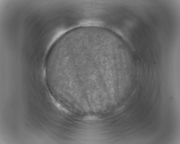 X0000081611462200701291414