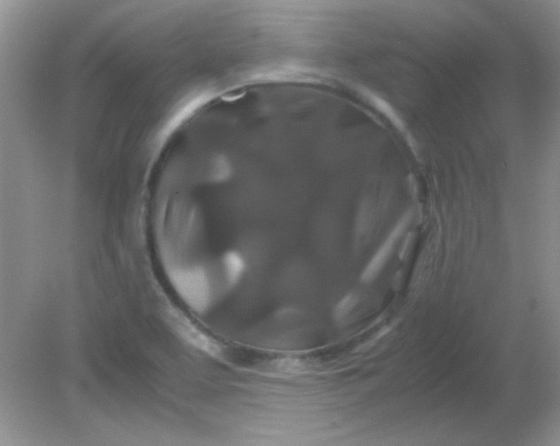 X0000081611463200701291414