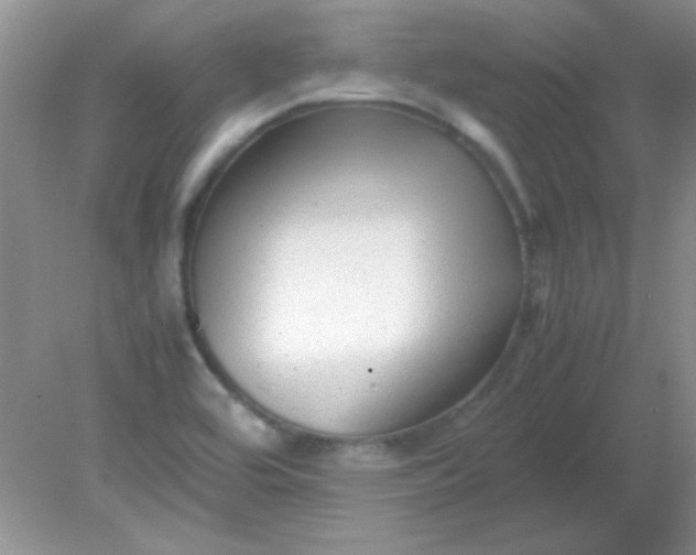 X0000081611464200701291414