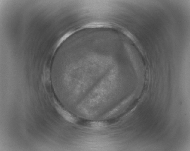 X0000081611465200701291414