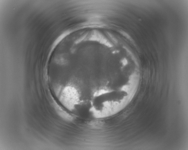 X0000081611466200701291414