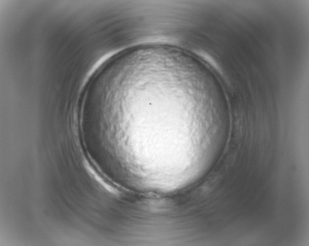 X0000081611468200701291414