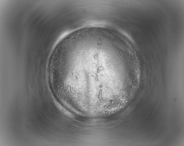 X0000081611471200701291414