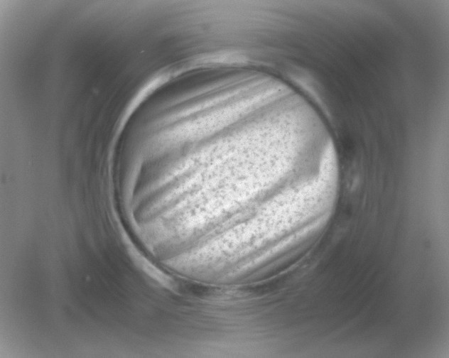 X0000081611475200701291414