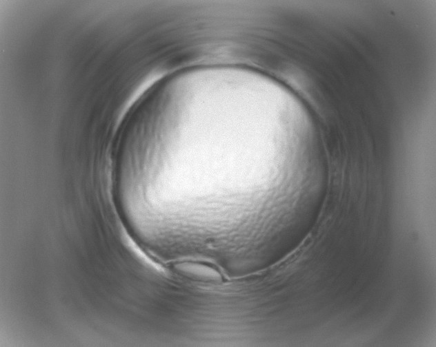 X0000081611476200701291414