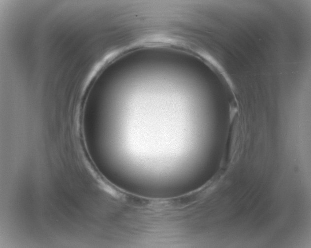 X0000081611477200701291414