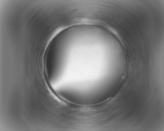 X0000081611479200701291414