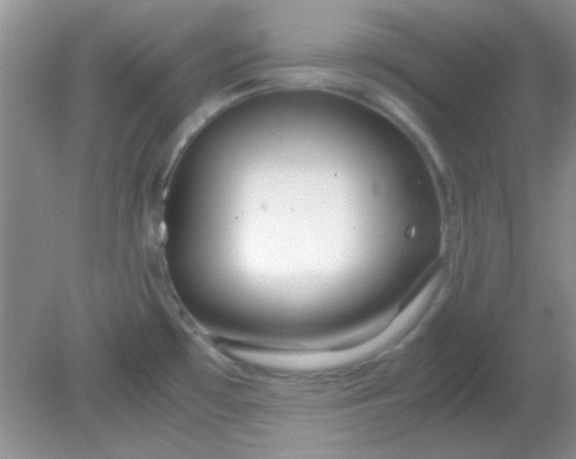 X0000081611481200701291414