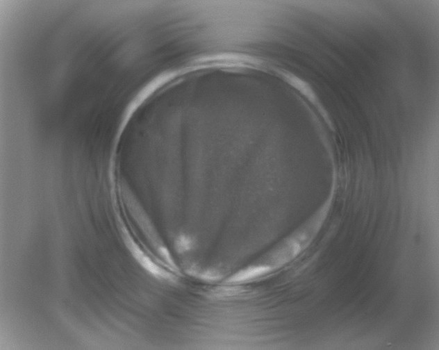 X0000081611482200701291414