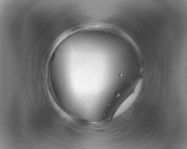 X0000081611483200701291414