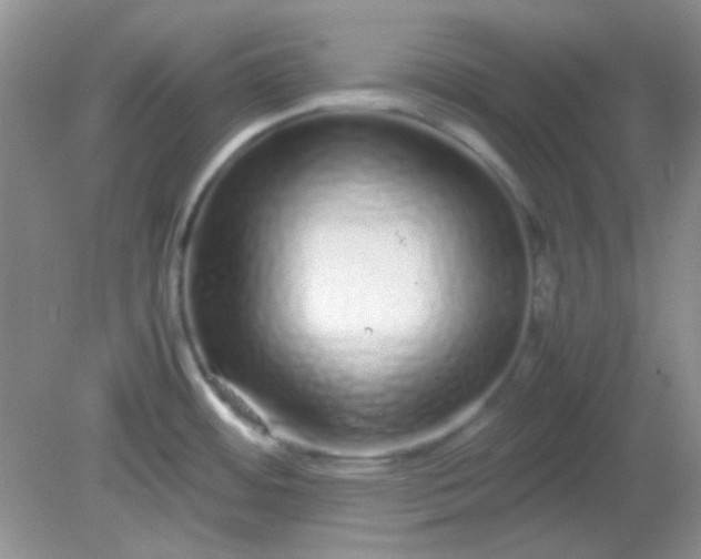 X0000081611484200701291414