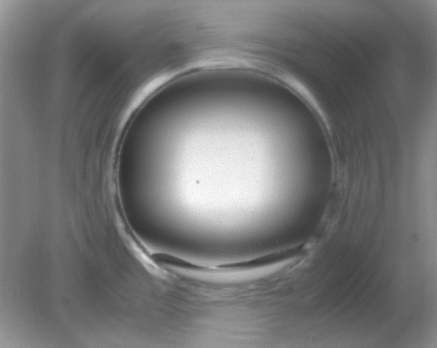 X0000081611485200701291414