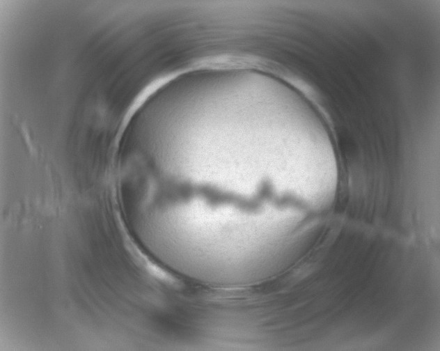 X0000081611486200701291414