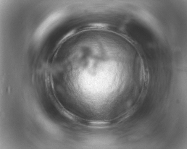 X0000081611487200701291414