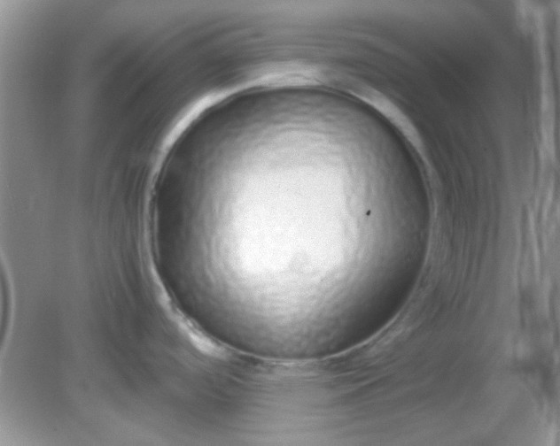 X0000081611488200701291414