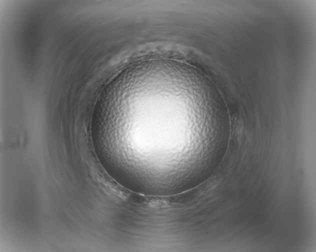 X0000081611489200701291413