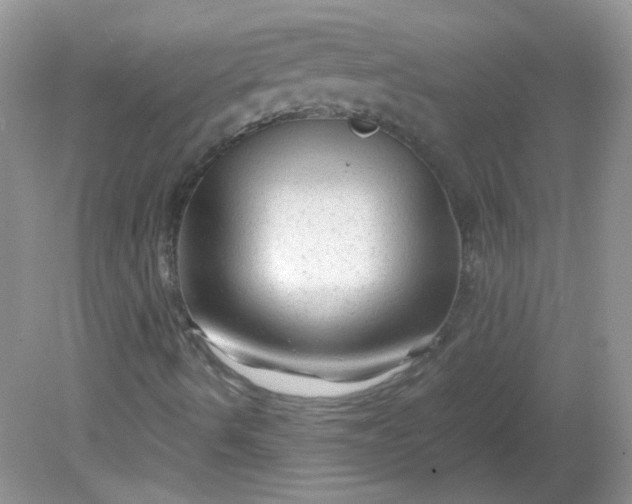 X0000081611490200701291413