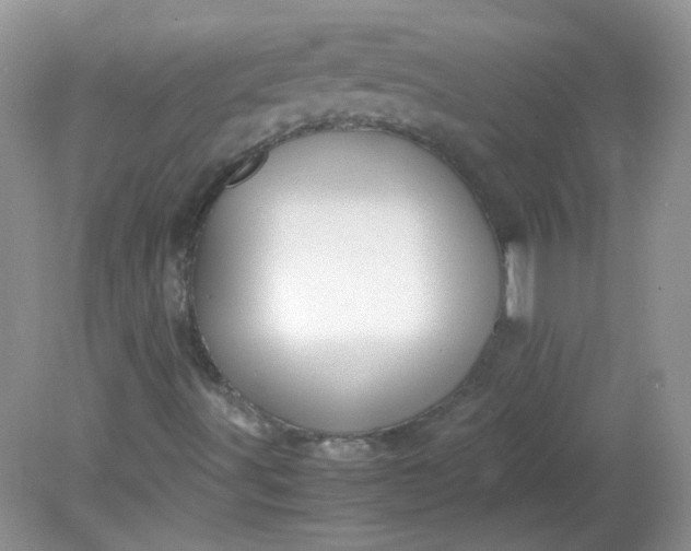 X0000081611491200701291413