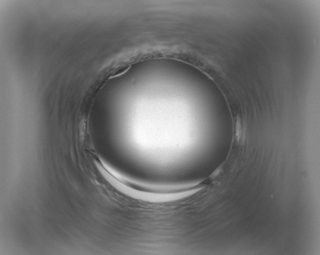 X0000081611492200701291413