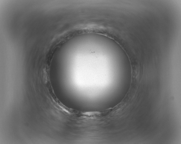 X0000081611493200701291413