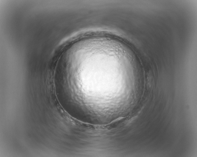 X0000081611494200701291413