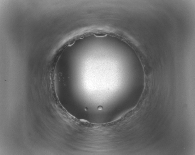 X0000081611496200701291413