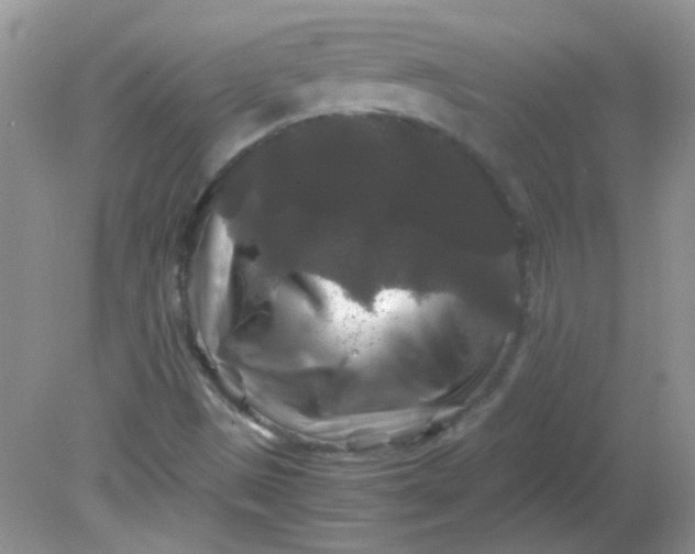 X0000081611497200701291413