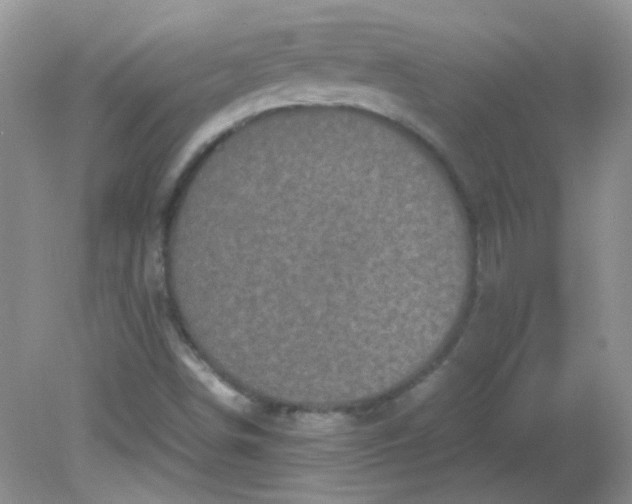 X0000081611498200701291413