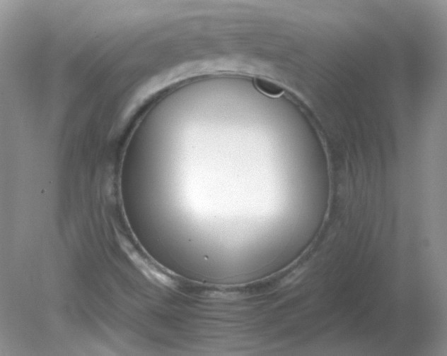 X0000081611499200701291413