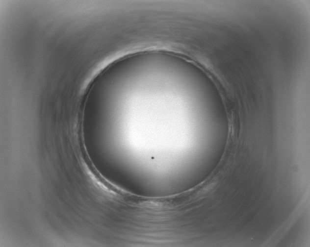 X0000081611500200701291413