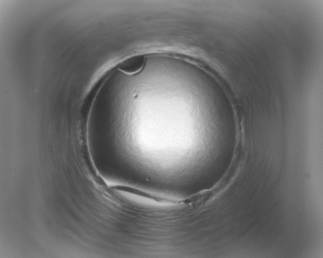 X0000081611501200701291413