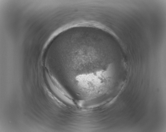 X0000081611506200701291413