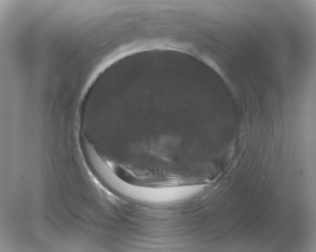 X0000081611508200701291414