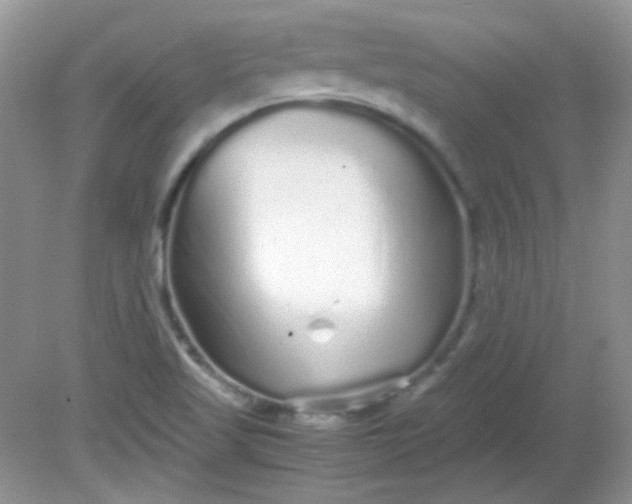 X0000081611509200701291414