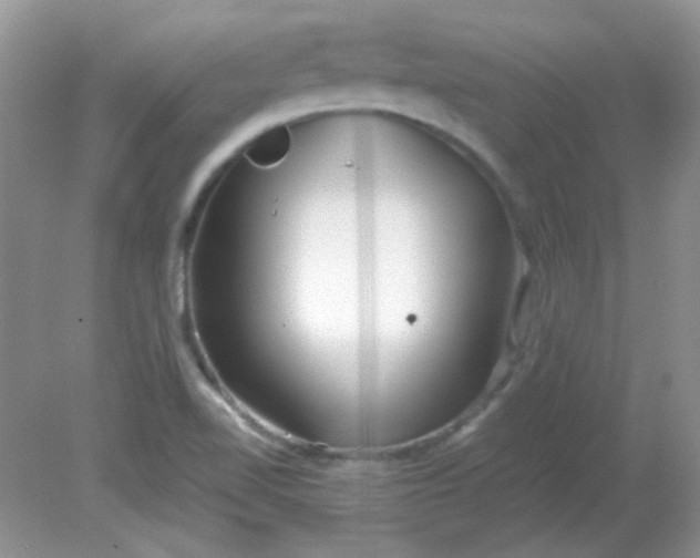 X0000081611510200701291414