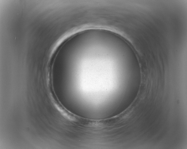 X0000081611511200701291414