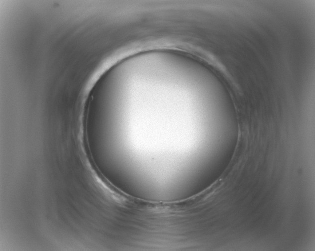 X0000081611512200701291414