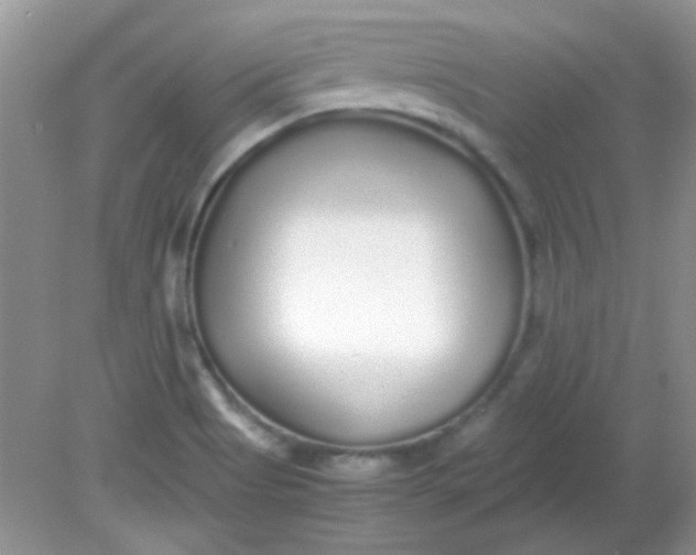 X0000081611513200701291414