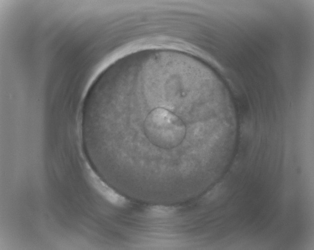 X0000081611514200701291414