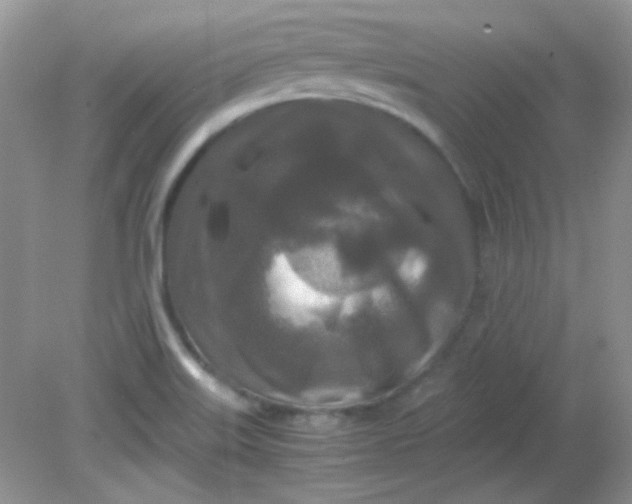 X0000081611515200701291414