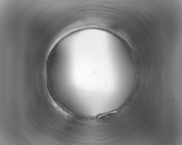 X0000081611516200701291414