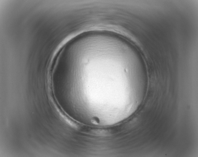 X0000081611517200701291414