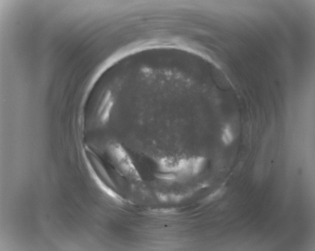 X0000081611519200701291414