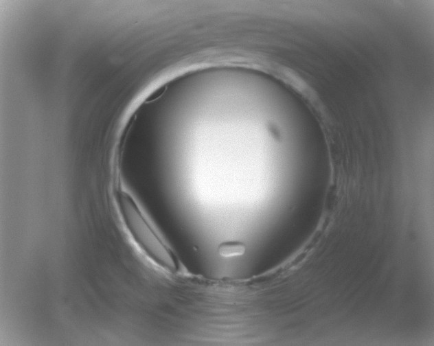 X0000081611520200701291414