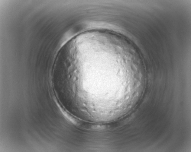 X0000081611521200701291414