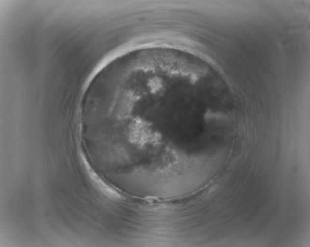 X0000081611522200701291414