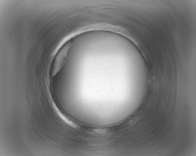 X0000081611523200701291414