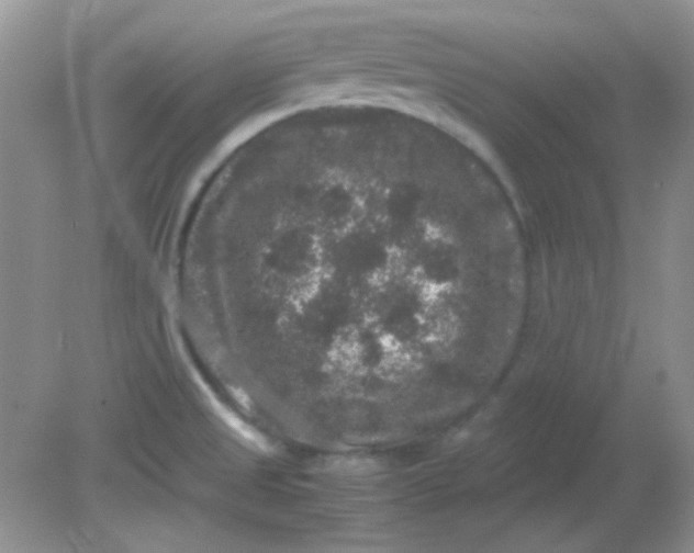 X0000081611525200701291414