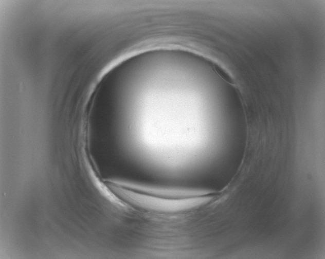 X0000081611526200701291414