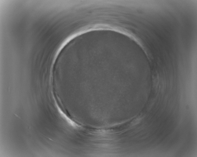 X0000081611527200701291414